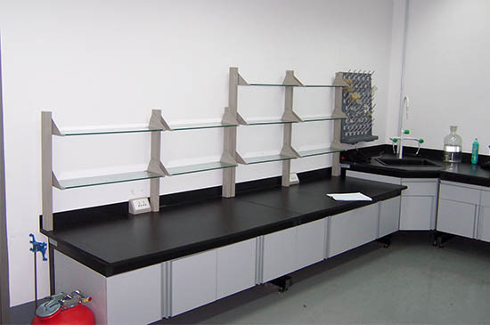 珠海實(shí)驗(yàn)臺(tái)柜定制生產(chǎn)廠家